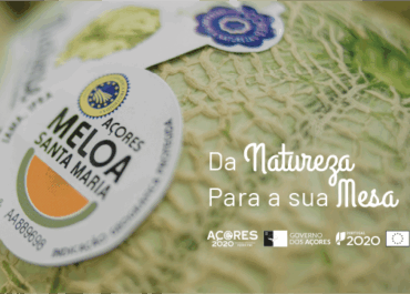 Alteração ao Caderno de Especificações da Meloa de Santa Maria – Açores IGP